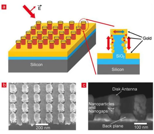 Figure 1-10.  Disk-coupled structures for SERS.  (a) Schematic; (b) top-view SEM image; 