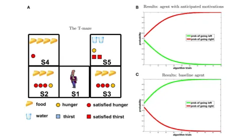 Figure 5 | experiment 2. (A) T-maze. (B,C) Results [(A) agent with anticipated motivations; (B) baseline model], “going right” = red; “going left” = green.