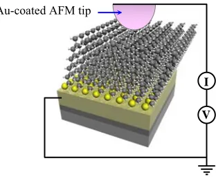 Figure 1.6 Scheme of the conducting probe atomic force microscopy experiment.  Voltages are applied to the tip; the substrate is kept at ground