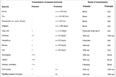 Table 1. Timeframes and transmission routes of passive immunity across different species