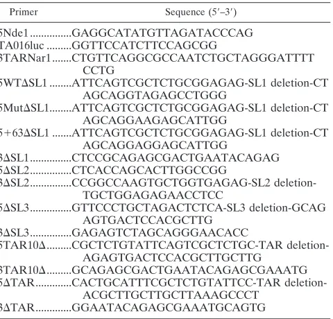TABLE 1. Primers used in this study