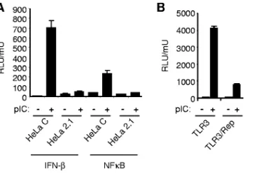 FIG. 1. Inhibition of IFN-�TLR3 in WNV replicon cells and pIC-induced activation of the IFN-promoter and NF-and IFN-cured replicon cells (HeLa C)