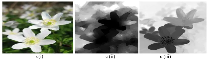 Figure 3: Comparison of blur techniques by two methods in 3(a) by using defocus magnification and 3(b) by using local contrast prior 