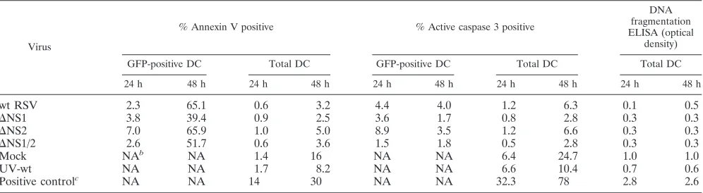 TABLE 2. Markers of apoptosis in DC inoculated with wt, �NS1, �NS2, or �NS1/2 RSVa