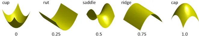 FIGURE 6.The shape index SI is a normalized shape measurement to describe local surface structures41.