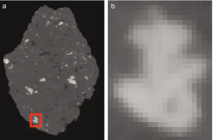 Fig. 1. (a) A 2D slice through a 3D tomography volume of example data showing mineral grains within an ore particle