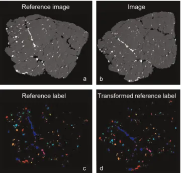 Fig. 2. Example of reference label transformation. (a) Reference image. (b) Image in subsequence scan
