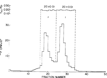 TABLE 1. Methylation of X cl857 DNA grown onW4032