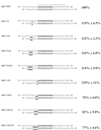 FIG. 5. Relative titers of RSV upstream PPT and poly(U) tract mutants. The relative titers obtained from infection of 293-tvanormalized to the amount of p27 (capsid) measured by p27 antigen-capture ELISA are shown