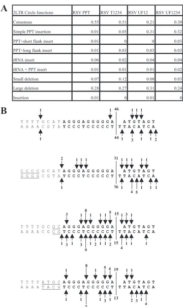 FIG. 6. 2-LTR circle junction analysis of mutants 5�experiments. The categories of the 2-LTR circle junctions are the same as those in Fig