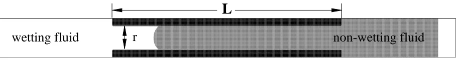 FIG. 3: Simulation setup for capillary intrusion. The portion in the center of the domain is a capillary tube of length Lwidth and r