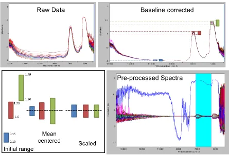 Figure 1. Common pre-processing and data transformation techniques used for spectra prior to building models
