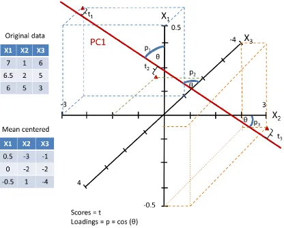 Figure 2. A simplified graphical example showing one principle component axis (PC1) derived from three variables X1, X2 and X3