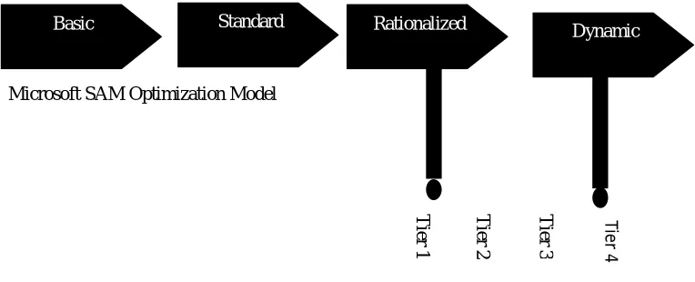 Figure 2: SAM Optimization Model vs. ISO/IEC 19770-1(Source: [19] } 