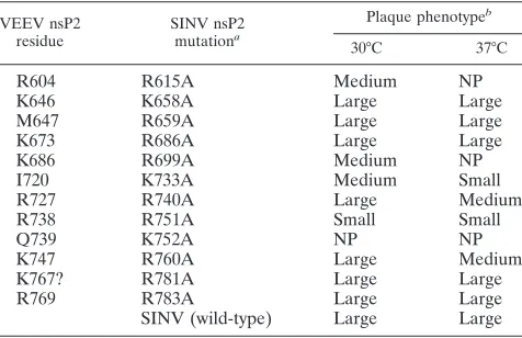 TABLE 1. Plaque phenotypes at permissive and nonpermissivetemperatures of growth