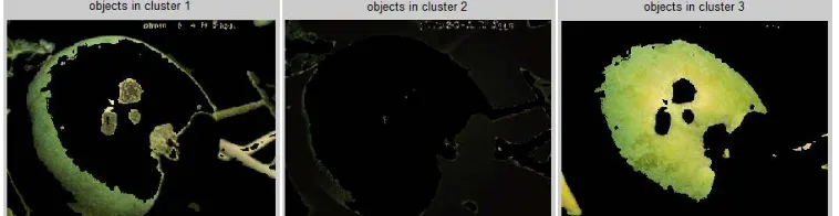 Fig. 3 Contrast enhanced and RGB to gray converted image  