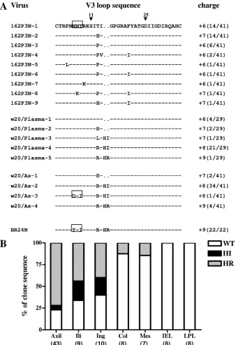 FIG. 1. (A) Comparison of V3 loop sequences of the parental R5 SHIVSF162P3N isolate, the recovered X4 virus SHIVBR24N, and viruses presentin plasma and axillary (Ax) LN of macaque BR24 at 20 wpi