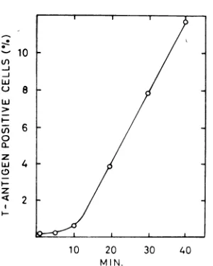 FIG. 2.freshDNAcells0.2asturesofanidcover described. phosphate-buffered Relationiship betweeni uptake ofSV40 DNA I production of T-anitigeni