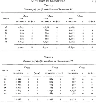 TABLE 3 