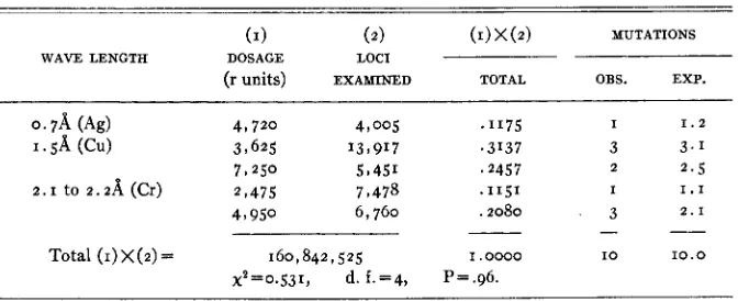 TABLE 6 