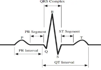 Figure 1 Schematic representation of normal ECG waveform 
