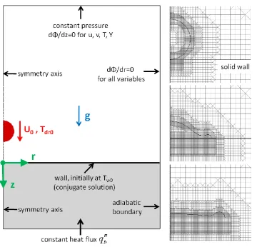 Fig. 1: The computational domain together with the boundary conditions used is shown on 