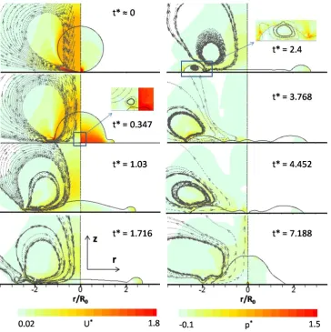 Fig. 3: Temporal evolution of the non-dimensional velocity field (left-hand-side of pictures) 