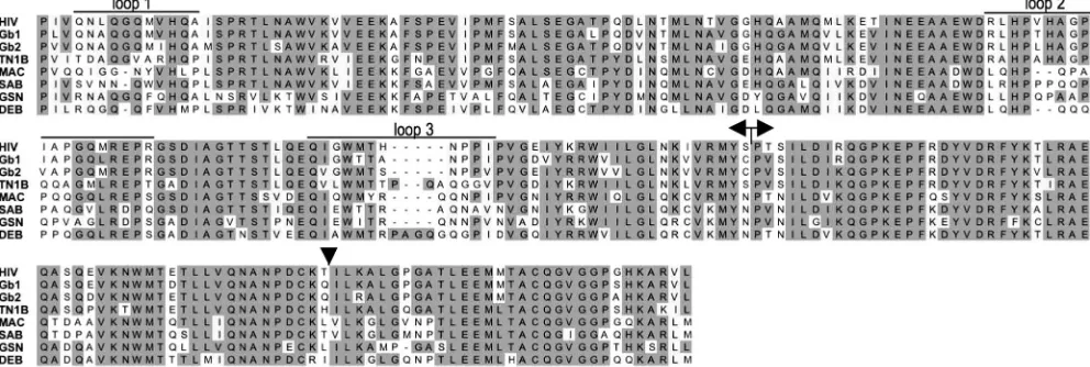FIG. 1. Generation of lentiviral CA chimeras. Shown is an amino acid sequence alignment of CA proteins from the indicated lentiviruses.Sequence identities are shaded