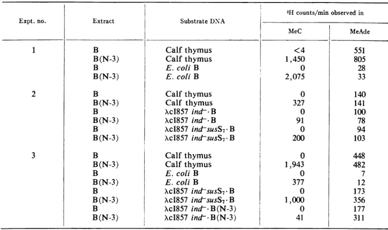 TABLE 3. Methylation of various deoxyribonucleic acid species in crude extracts of Escherichiacoli B and B(N-3)a