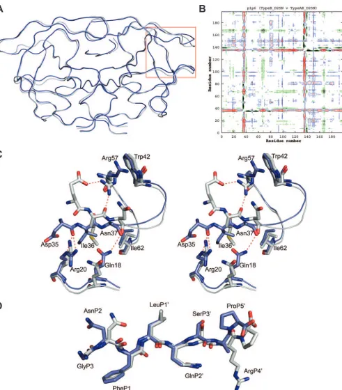 FIG. 2. (A) Ribbon diagram superposition of the CRF01_AE (blue) and the clade B (gray) p1-p6 structures