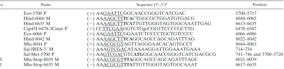 TABLE 1. Sequences and positions of primers used for construction of plasmids