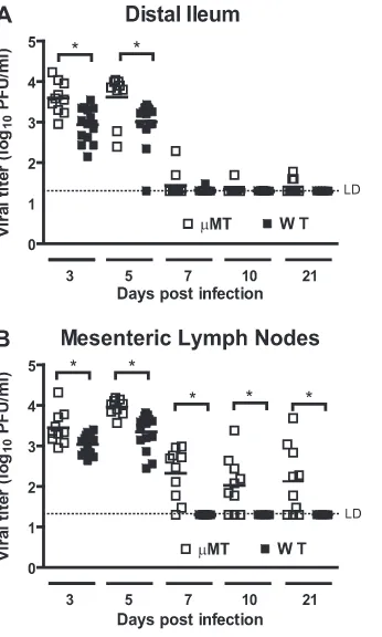 FIG. 1. B cells limit MNV replication and are required for MNVclearance in the distal ileum and MLN