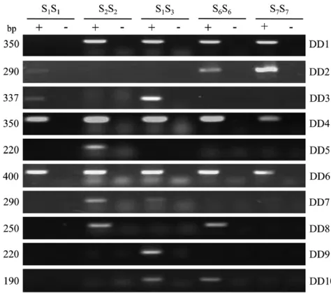 Figure 4 shows that DD2, DD3, and DD5–9 were ex-