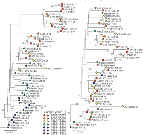 FIG. 2. Phylogenetic analysis of plasma-derived (A) and autopsy/biopsy sample-derived (B) B19 virus sequences from this study (circles) andpublished sources (diamonds)