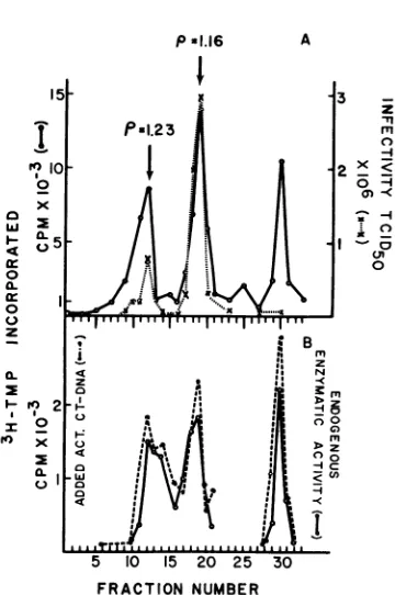FIG. 4.tweentions Enzyme activity and viral infectivity in frac- o,fpotassium tartrate gradient