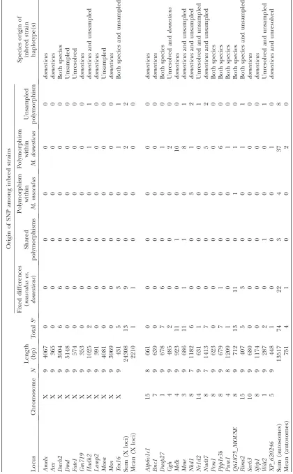 TABLE 6