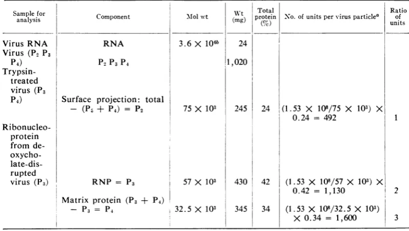 TABLE 1. Calculationz of the nlumber of proteinz subunits in one vesicular stomatitis virus particle