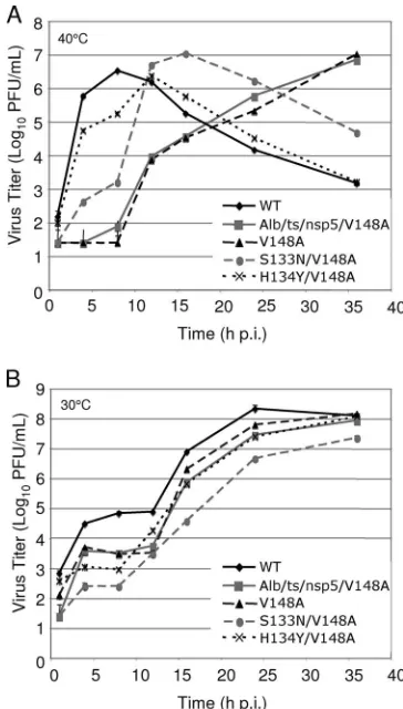 FIG. 3. Growth analysis of WT, tsgrowth at 40°C. DBT-9 cells were infected with the indicated viruses atan MOI of 0.01 PFU/cell