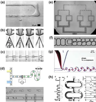 Figure 1.5.  Manipulation of droplets in microfluidic channels. (a) Formation of water-in-oil droplets with T-junction110 and (b) flow focusing design.116 As oil flow rate increases (from 