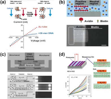 Figure 1.9. Nonlinear ionic current control in nanofluidic devices. (a) Schematics of ionic current rectifier with a conical gold-nanotube showing electrode polarity and DNA chain positions for on and off states (top)