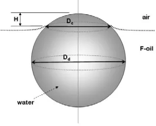 Figure 2.2. Geometry of aqueous droplet floating on F-oil. = diameter of droplet. Dc = diameter of contact line