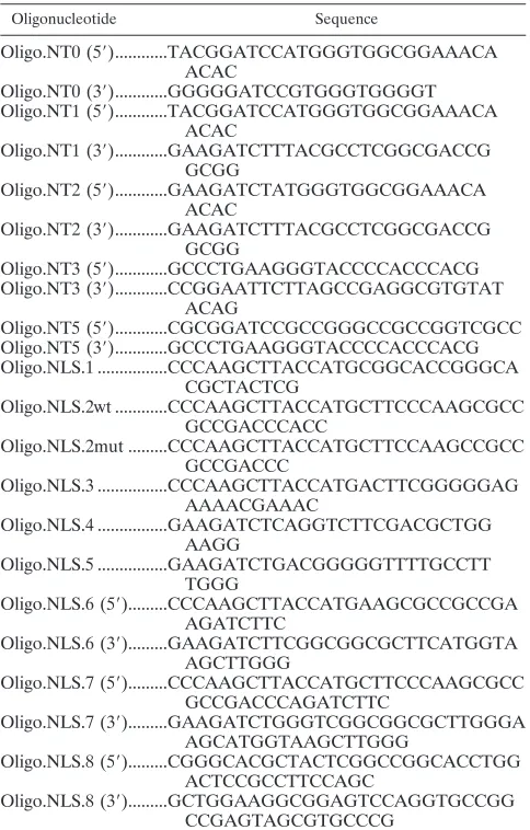 TABLE 1. Oligonucleotides used in this work