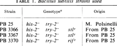 TABLE 1. Bacillus subtilis strainis used