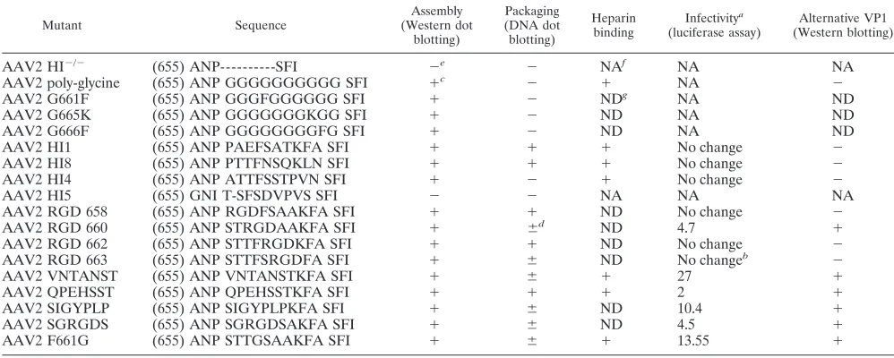 TABLE 2. Phenotype comparison of AAV2 HI loop capsid mutants