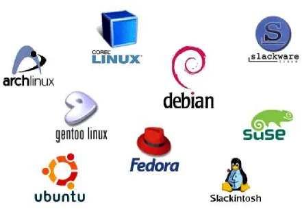 Figure 3.1: Some Linux Distributions