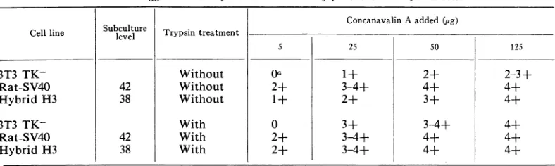 TABLE 2. Agglutination by concanavalin A of parenital and hybrid cells