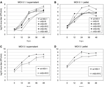 FIG. 3. Growth kinetics of recombinant HSV-1 and wt HSV-1. Vero cells were infected with MOIs of 0.1 (A and B) or 5 (C and D) PFU ofeither a recombinant HSV-1 (rHSV-R, rHSV-RY rHSV-RYC, rHSV-RC, or rHSV-48Y) or wt HSV-1, and progeny virus was harvested from the