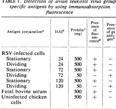 TABLE 1. Detectioni of avian leukosis virus group-specific anitigens by using immunoabsorption
