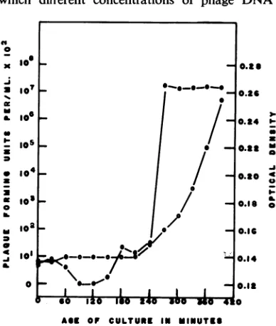 Table 3which shows the results of an experiment in different concentrations of phage DNA
