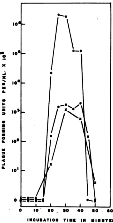 TABLE 3. Relation between LR-4 DNA concentrationand transfection in A. tumefaciens B66
